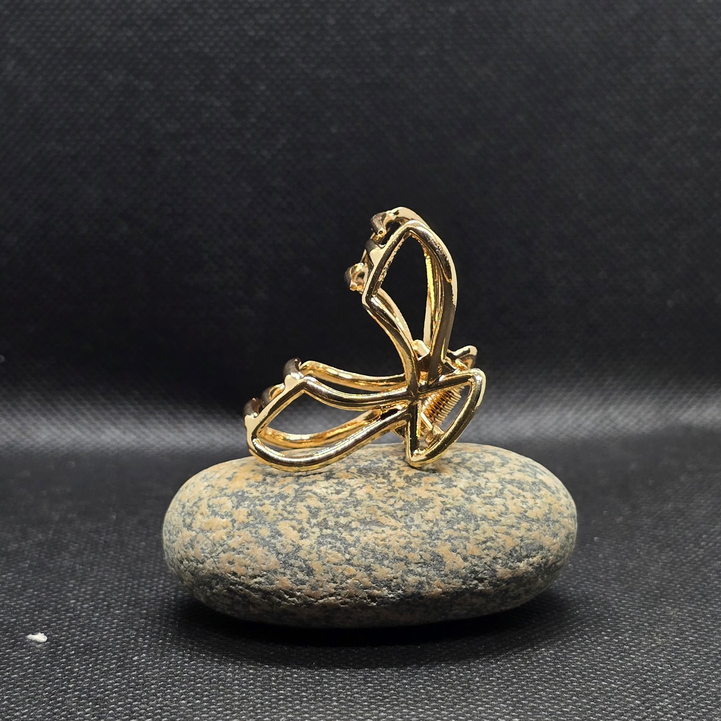 Minimalist Fashion Claw Clip