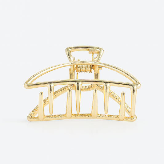 Minimalist Fashion Claw Clip