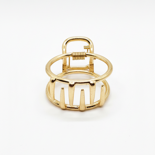 Minimalist Fashion Claw Clip